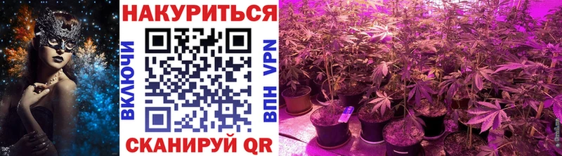 Конопля тримм Сретенск